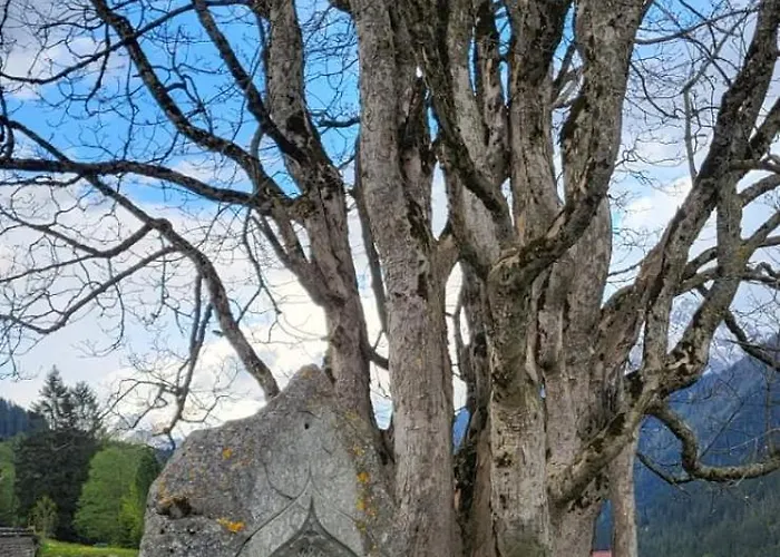 Pavel アパート *